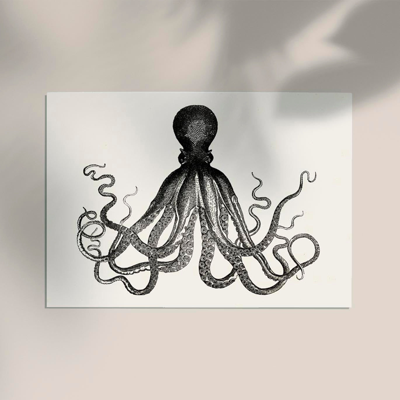 Octopus Antique Print