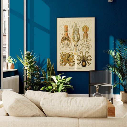 Gamochonia by Ernst Haeckel Poster