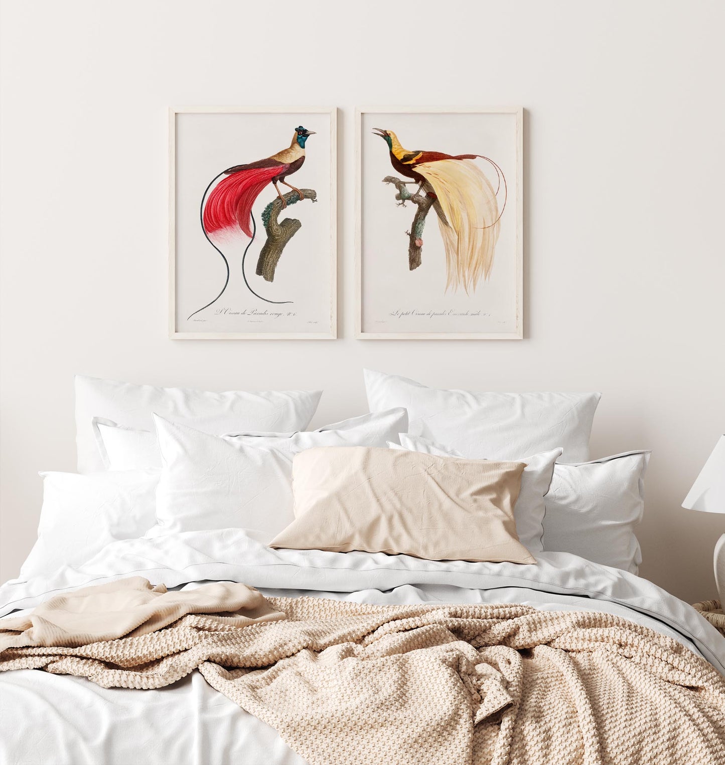 Set Birds Set of 2 Prints