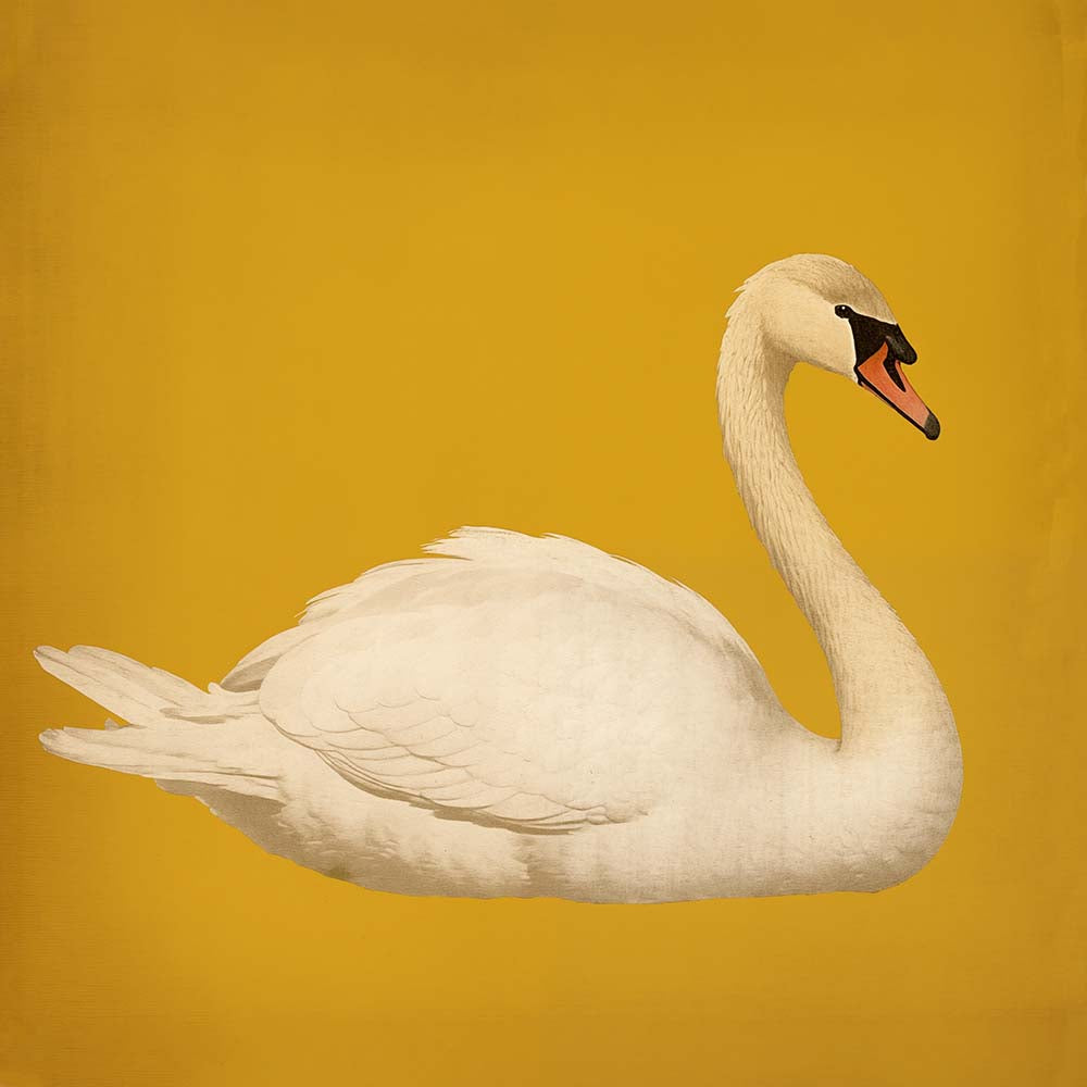 White Swan in Yellow Squared Print
