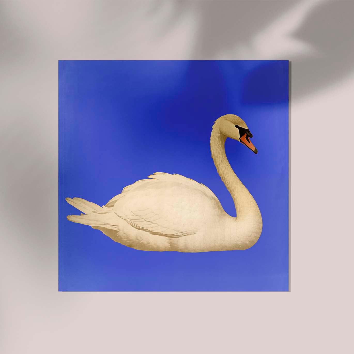 White Swan in Cyan Squared Print
