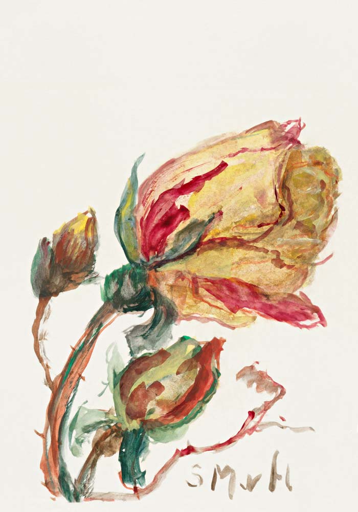 Rose by Sientje Mesdag-van Houten Botanical Poster