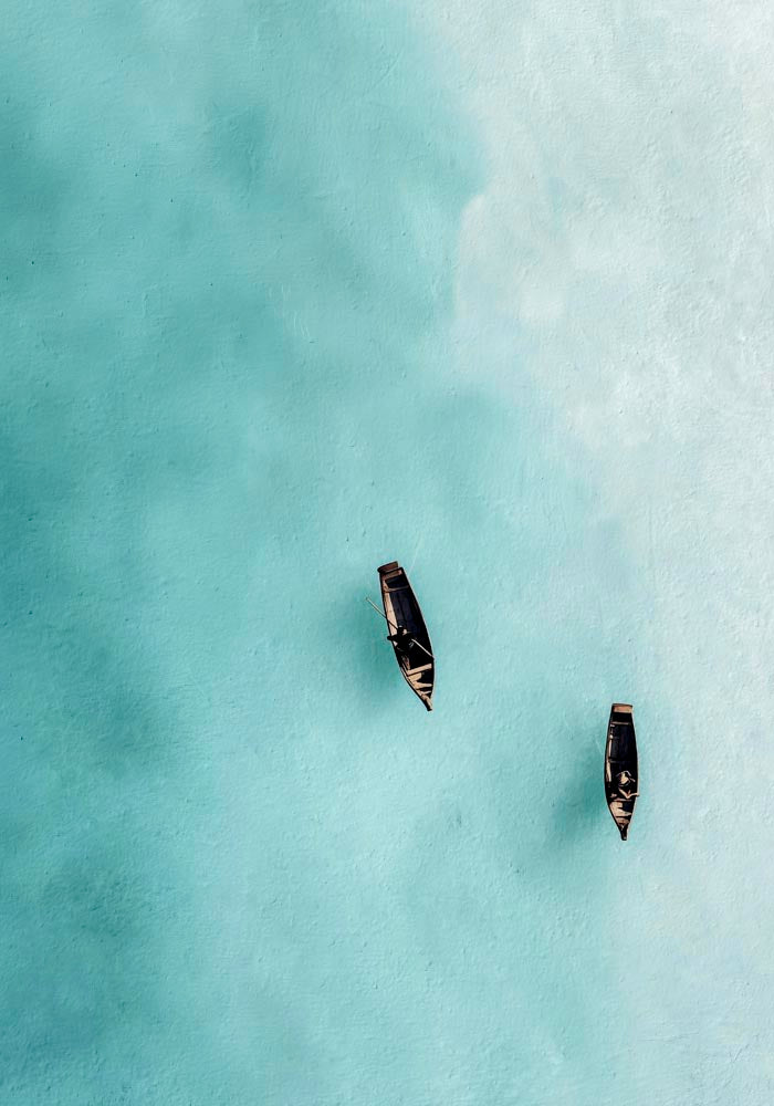 Boars drifting in the clear waters Art Poster