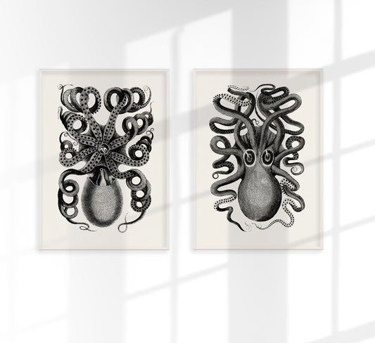 Antique Octopus Set of 2 Prints