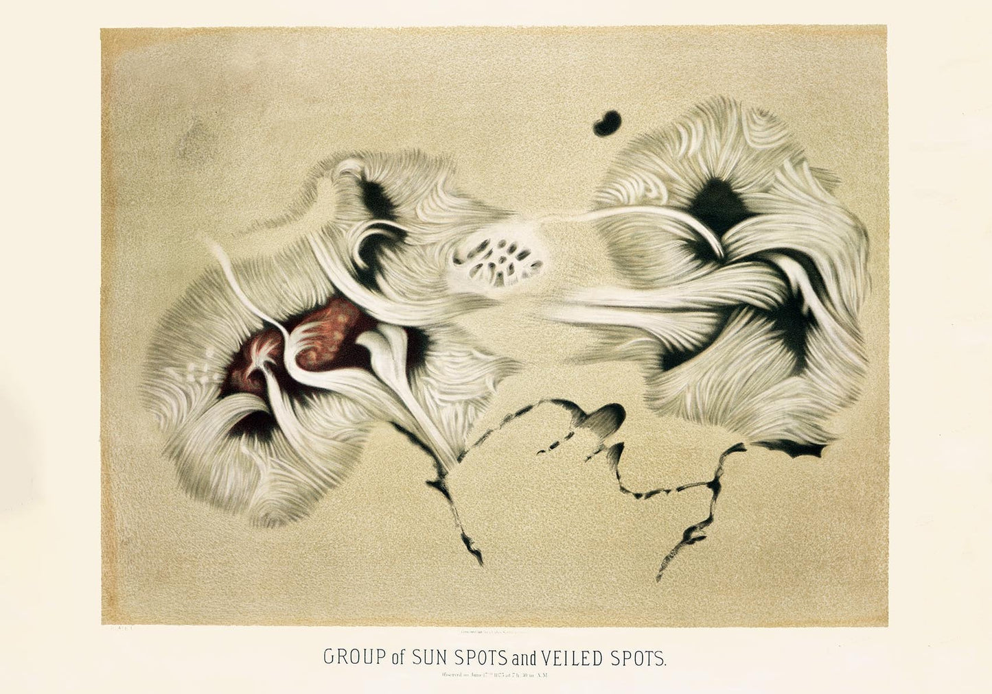 Group of Sunspots Vintage Astronomy Poster