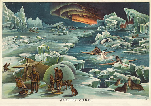 Arctic Zone Poster - Vintage Science Illustration - Kuriosis Vintage Prints
