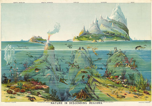 Nature in descending Regions Educational Vintage Chart - Kuriosis Vintage Prints
