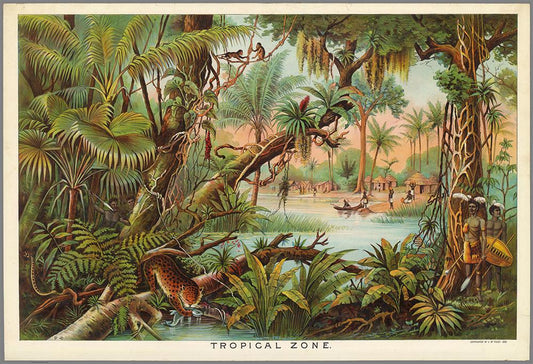 Tropical Zone Educational Vintage Poster - Kuriosis Vintage Prints