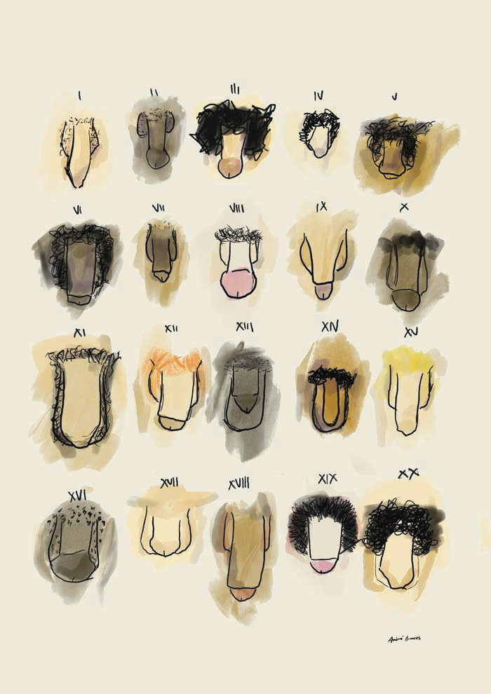 Penis Colorful Chart Art Print by André Humeres