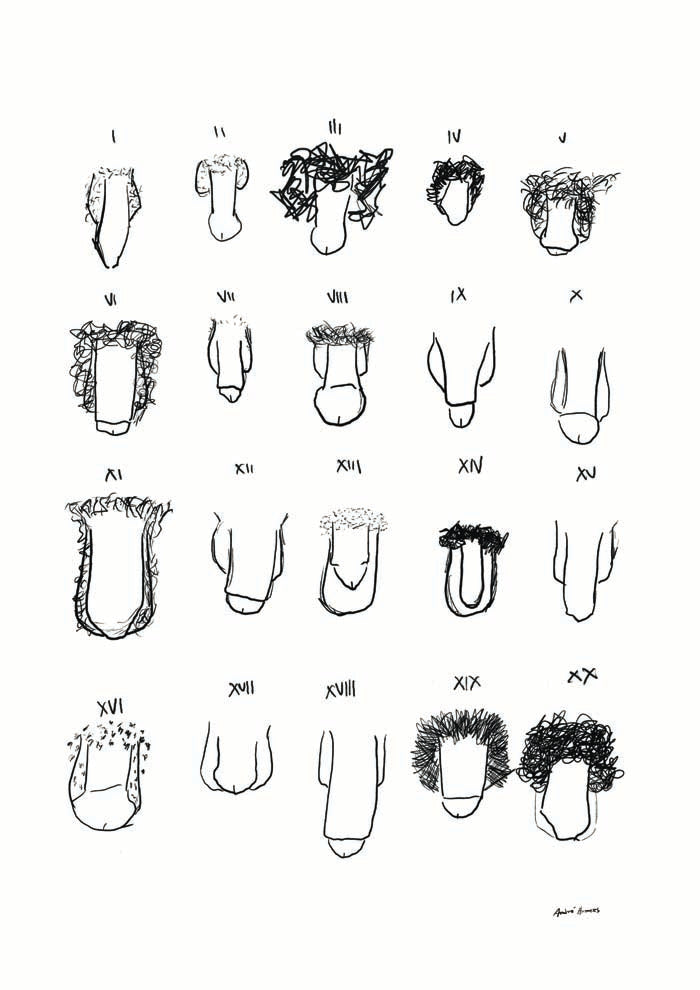 Penis B&W Chart Art Print by André Humeres