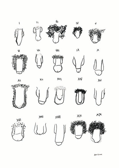 Penis B&W Chart Art Print by André Humeres