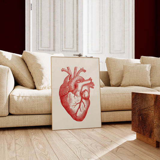 Anatomical Heart Red Science Poster