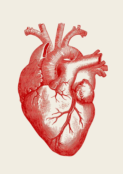 Heart & Brain Set of 2 Prints