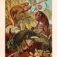 Chameleons Nature Poster