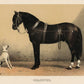 Orloff Horse & Dog Poster