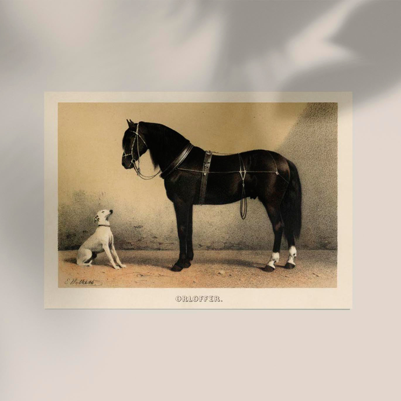 Orloff Horse & Dog Poster