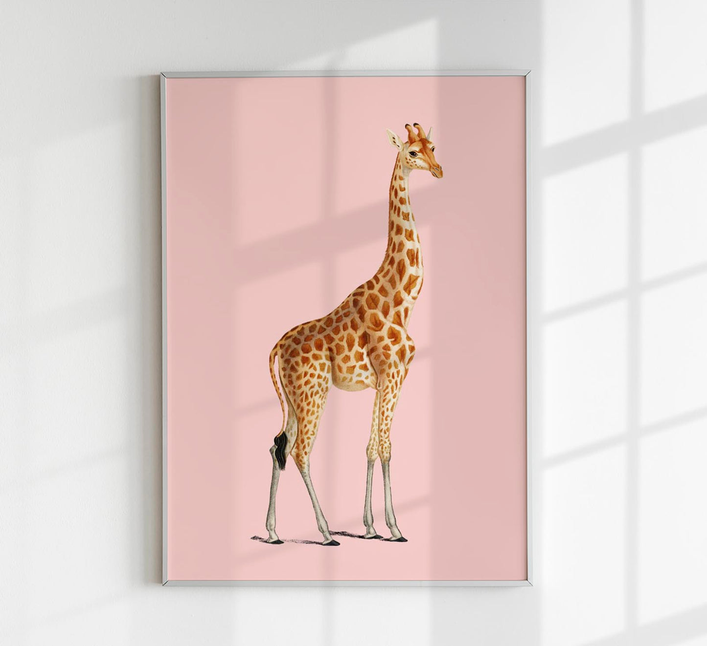 Giraffe Pink Poster