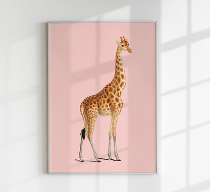 Giraffe Pink Poster