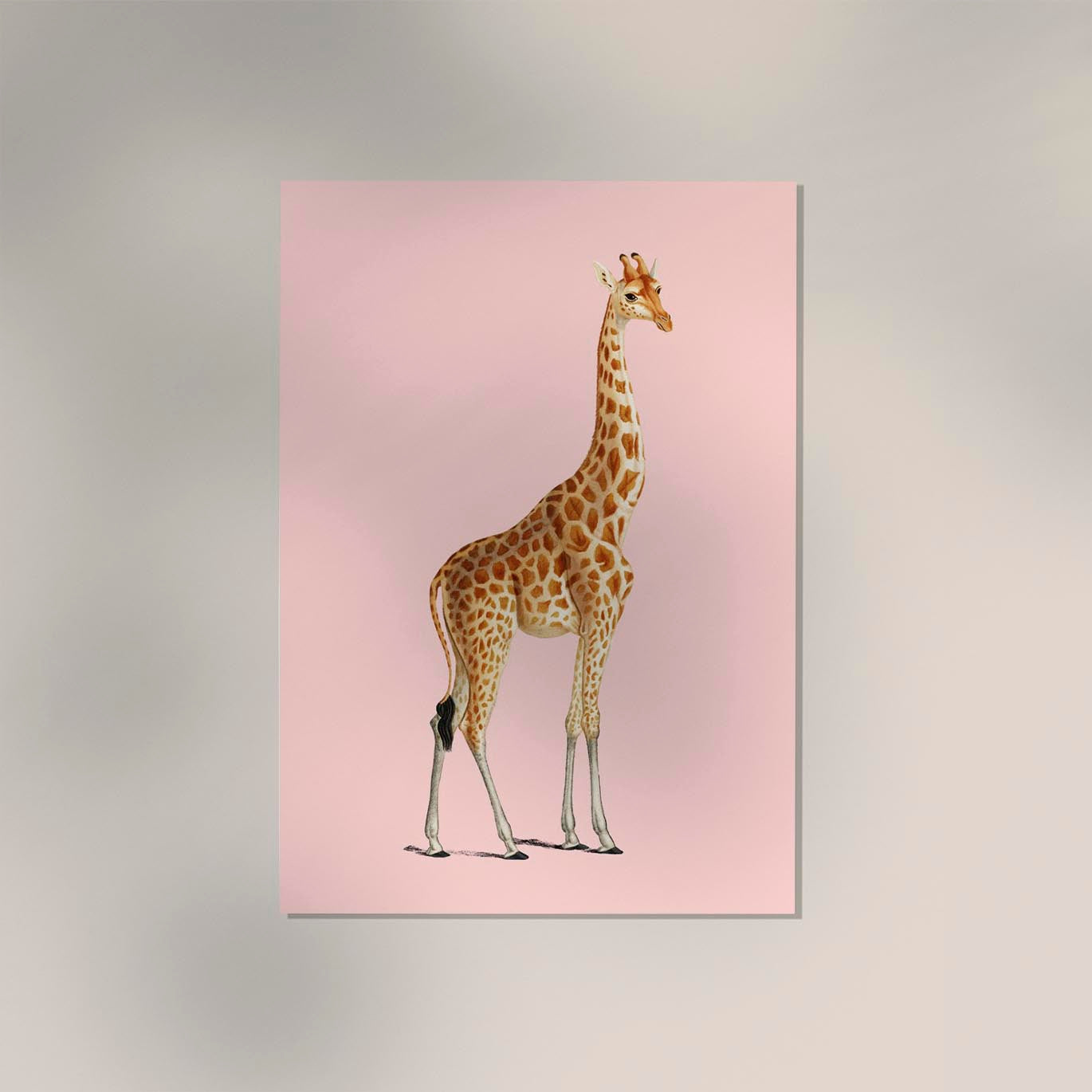 Giraffe Pink Poster