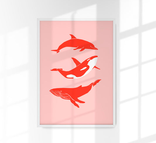 Whale & Dolphin Pink Poster