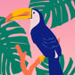 Tropical Toucan Pink Art Poster