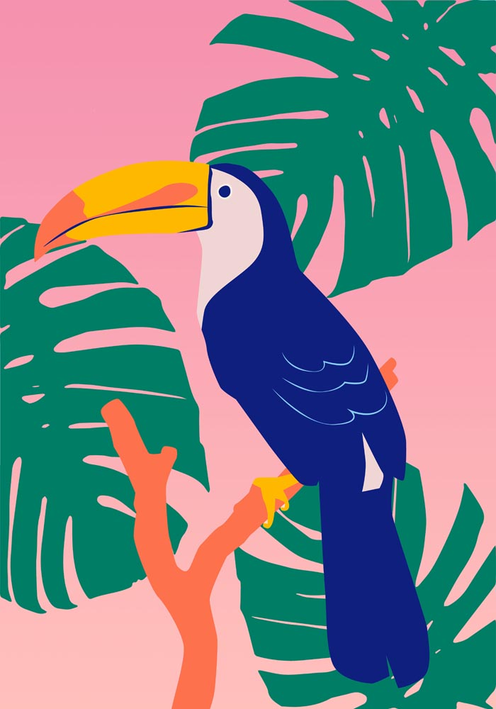 Sale: Tropical Toucan Pink A3 Size Fine Art Print