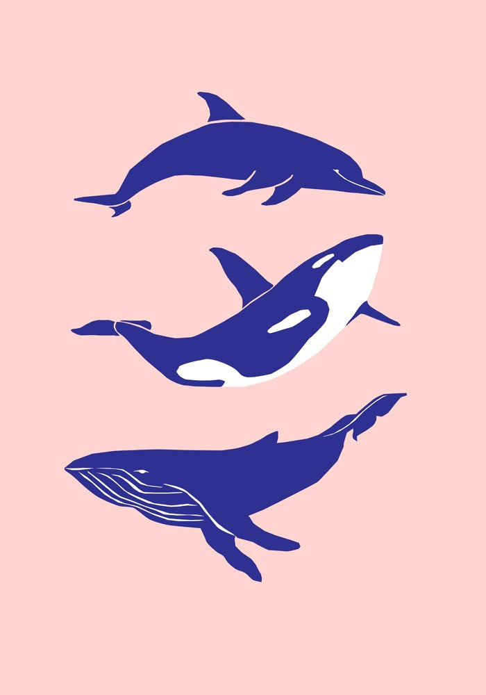 Whale and Dolfin Blue Pink Poster