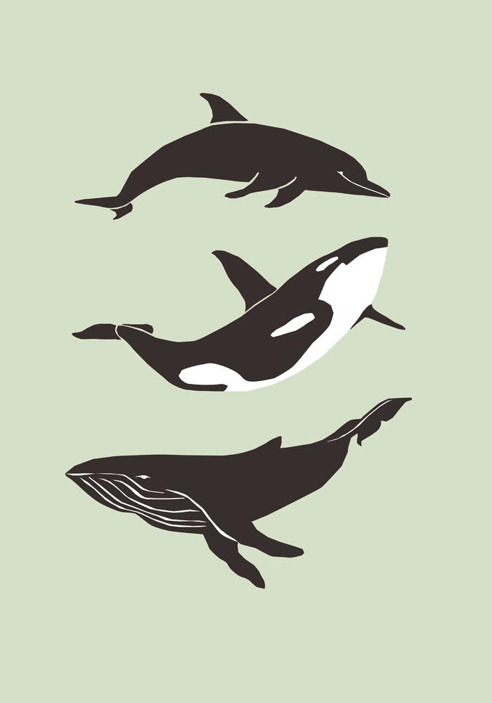 Whale and Dolfin Green Poster