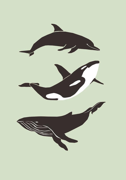 Whale and Dolfin Green Poster