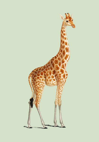 Giraffa Green Poster