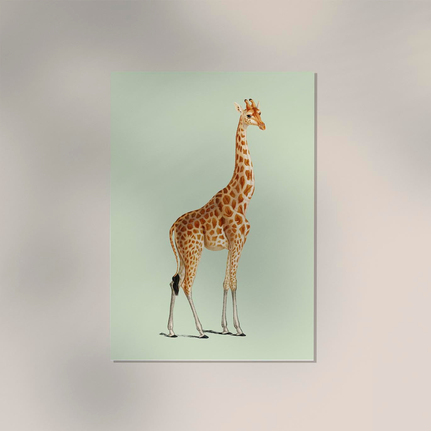 Giraffa Green Poster