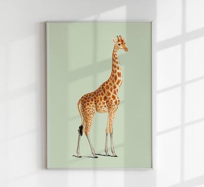 Giraffa Green Poster