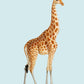 Giraffe Blue Poster