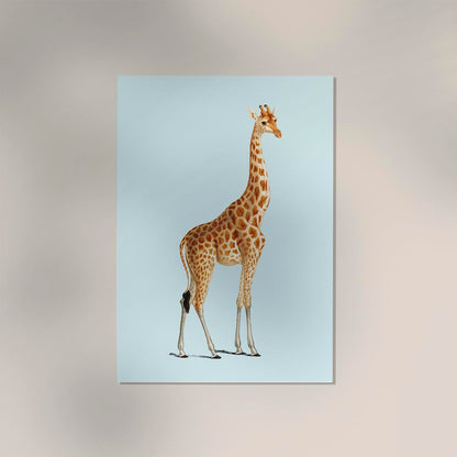 Giraffe Blue Poster