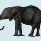 Blue Elephant Animal Illustration