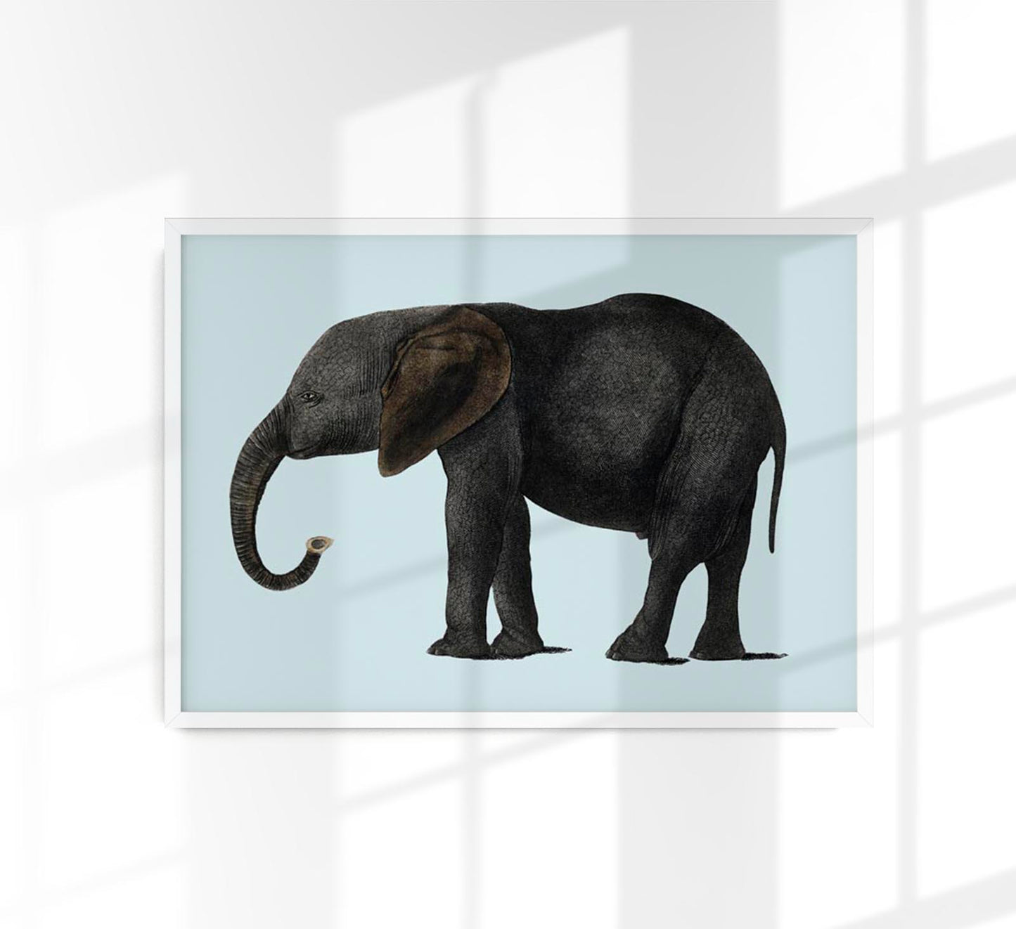 Blue Elephant Animal Illustration