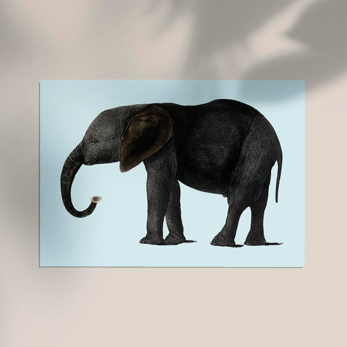 Blue Elephant Animal Illustration