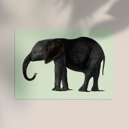 Green Elephant Animal Illustration