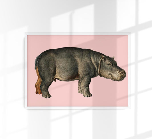 Hippo Pink Illustration