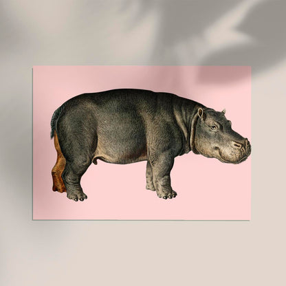 Hippo Pink Illustration