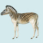 Zebra Blue Illustration