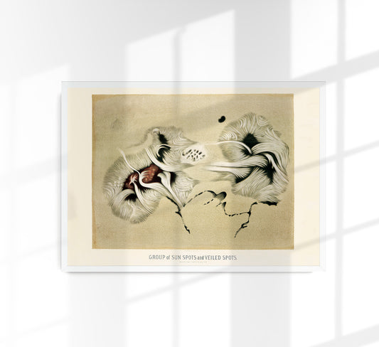 Group of Sunspots Astronomy Poster