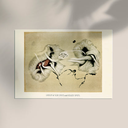 Group of Sunspots Astronomy Poster