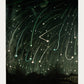 November Meteors by Trouvelot Astronomical Poster