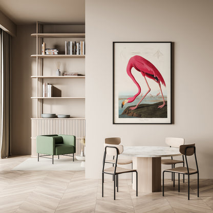 American Pink Flamingo Animal Print