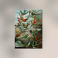 Birds of Paradise by Ernst Haeckel Poster