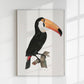 Toucan Animal Print