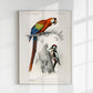 Macaw and Woodpecker Bird Poster