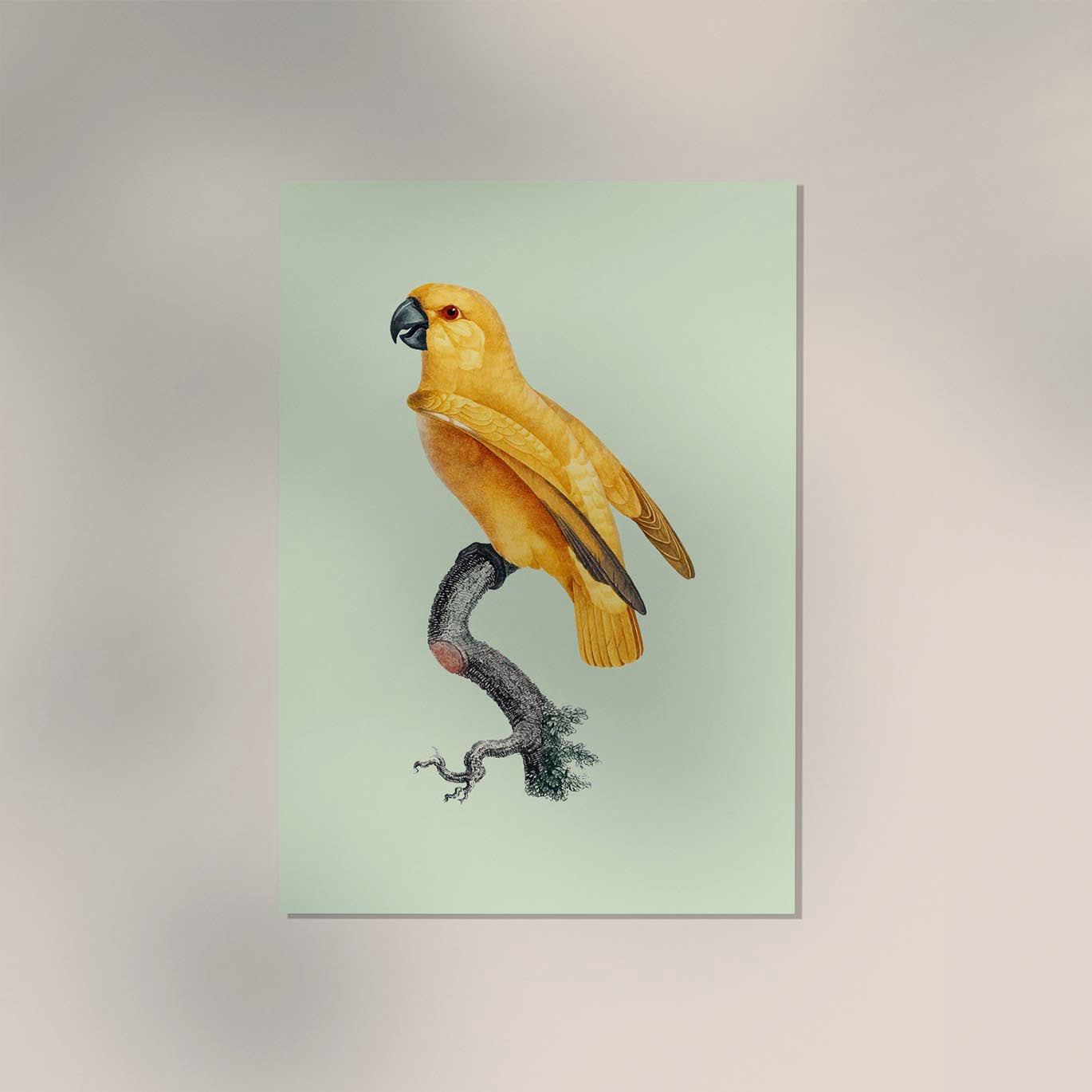 Yellow Parrot Green Poster