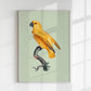 Yellow Parrot Green Poster